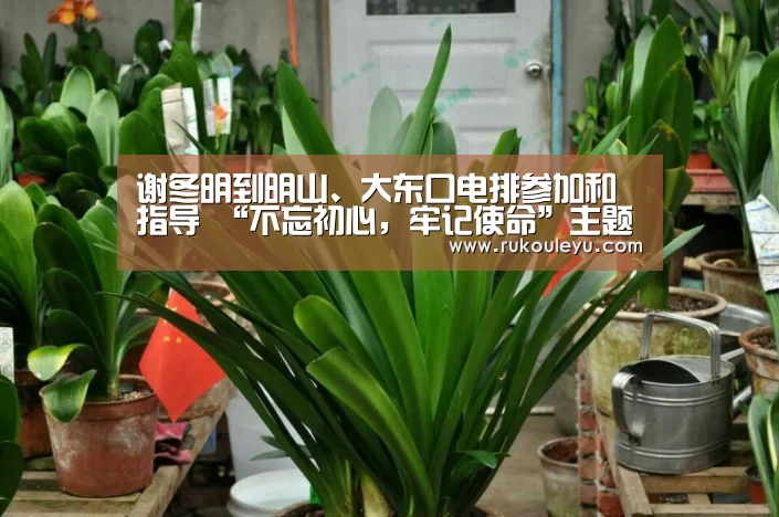 谢冬明到明山、大东口电排参加和指导 “不忘初心,牢记使命”主题教育专题组织生活会“乐鱼app”(图1) 乐鱼体育