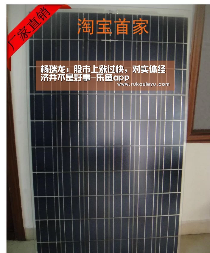 杨瑞龙:股市上涨过快,对实体经济并不是好事-乐鱼app(图1) 乐鱼官网