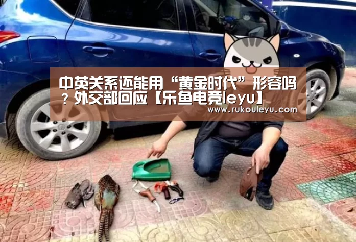 中英关系还能用“黄金时代”形容吗?外交部回应【乐鱼电竞leyu】(图3) 乐鱼体育