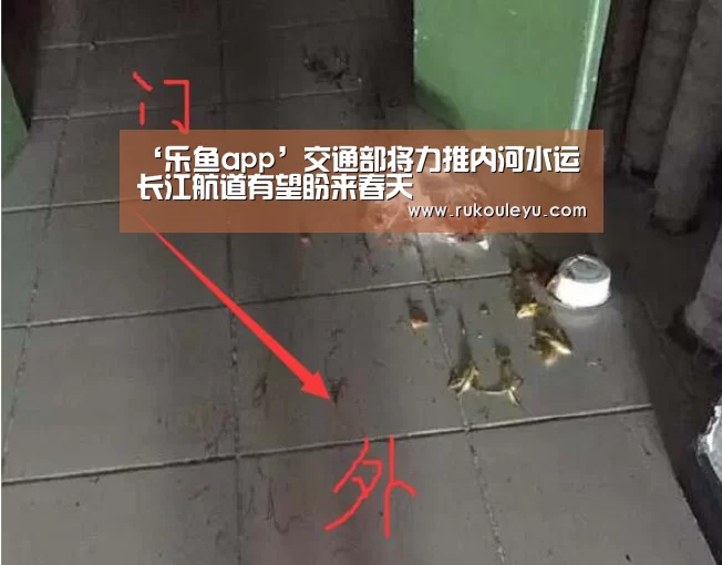 ‘乐鱼app’交通部将力推内河水运长江航道有望盼来春天(图3) 乐鱼app